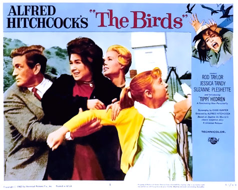 Les oiseaux, le film de 1963
