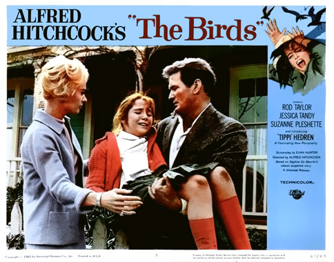 Les oiseaux, le film de 1963