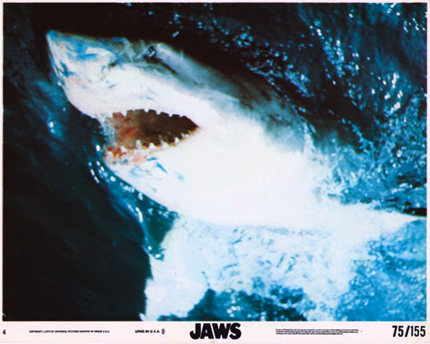 Jaws, Les dents de la mer, le film de 1975