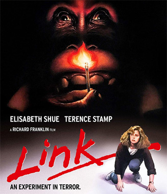 Link 1986 br us 2019