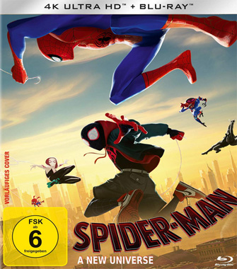 Spider Man Into The Spider-Verse 2018 brde 4k 2019