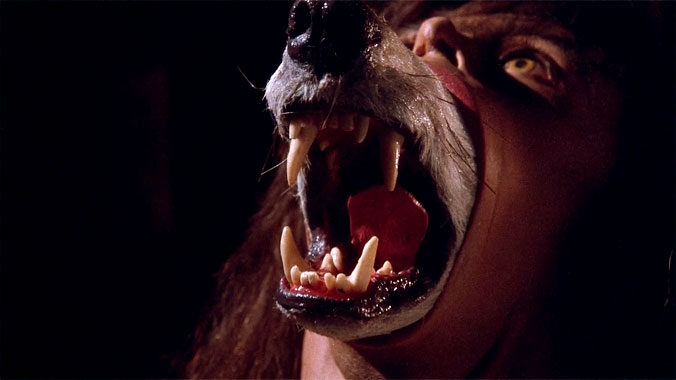 La compagnie des loups, le film de 1984
