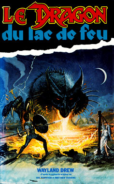 Le dragon du lac de feu, la novélisation de 1981