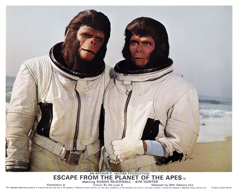 Les évadés de la planète des singes, le film de 1971