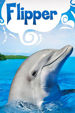Flipper le dauphin, la série de 1964