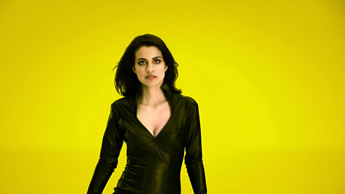 The Middleman, la série télévisée de 2008