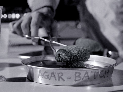 The Outer Limits S01E22: La plante inconnue (1964)