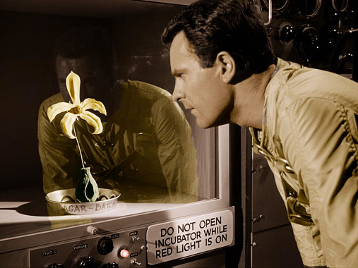 The Outer Limits S01E22: La plante inconnue (1964)