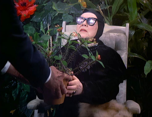 Le Sixième sens S01E12 : L'ombre dans le puits (1972)