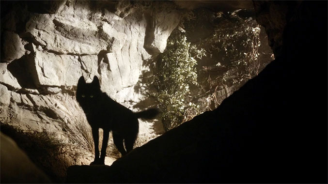 Teen Wolf S05E11: La dernière chimère (2015)