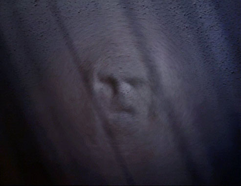 X-Files : Aux frontières du réel S01E09: Espace (1996)