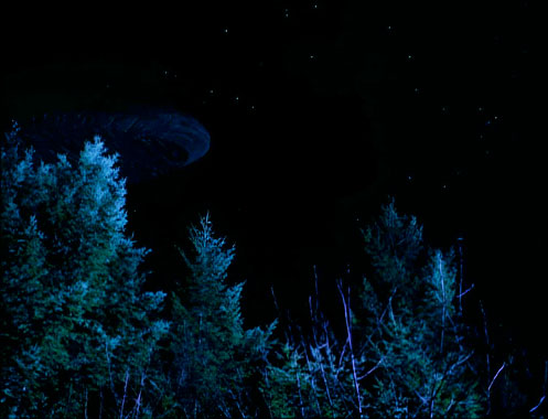 X-Files : Aux frontières du réel S01E17: Entité Biologique Extraterrestre (E. B. E.) (1994)
