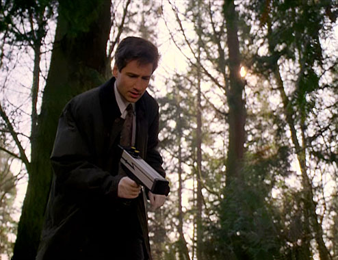 X-Files : Aux frontières du réel S01E17: Entité Biologique Extraterrestre (E. B. E.) (1994)