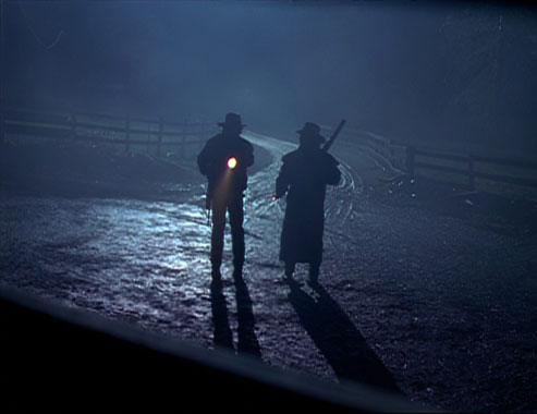 X-Files : Aux frontières du réel S01E19: Métamorphoses (1994)