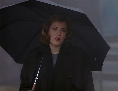 X-Files : Aux frontières du réel S01E19: Métamorphoses (1994)