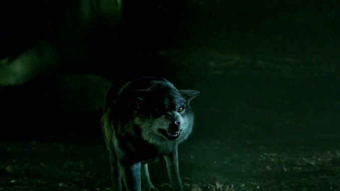 Wolfblood S01E02: Quand on parle du loup (2012)