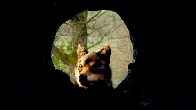 Wolfblood S02E10: La course d'orientation (2013)